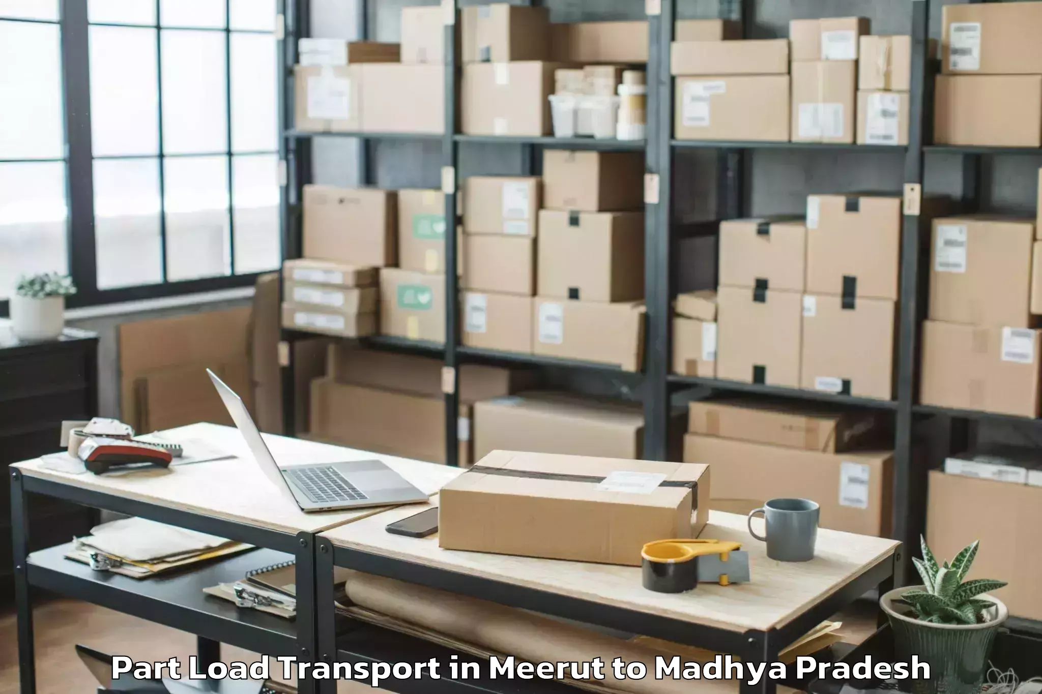 Meerut to Kundam Part Load Transport Booking